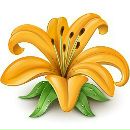 Іруся Зохорова фотография #45 (источник - https://vk.com/id54758799)