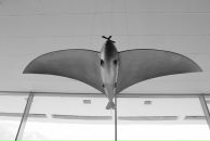 Александр Спиридонов фотография #21 (источник - https://vk.com/id980141)