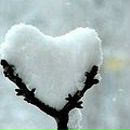 Заріна Козачук-Комарницька фотография #17 (источник - https://vk.com/id73601208)