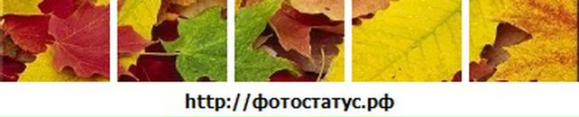 Ніна Гаврилюк фотография #49 (источник - https://vk.com/id70757161)