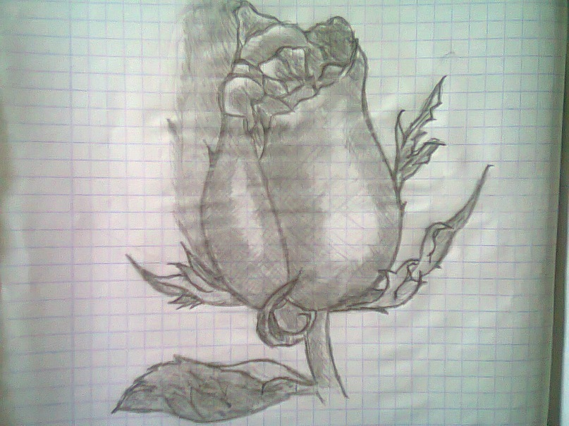 Олег Петунин фотография #31