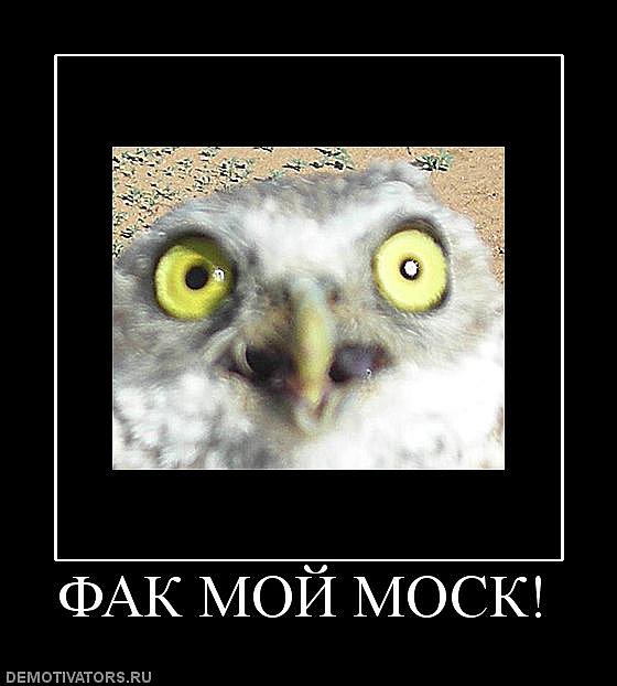 Иван Пташник фотография #13