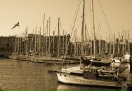 Vincent Black фотография #44 (источник - https://vk.com/id760702)