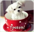 Фотография Лунеговой Ирины