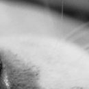 Софія Михальчук фотография #23 (источник - https://vk.com/id132793257)