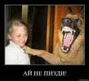 Олександр Сіренко фотография #15 (источник - https://vk.com/id133126015)