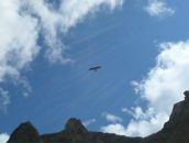 Фотография Бабулиной Натальи