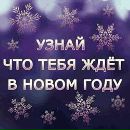 Фотография Бологова Михаила