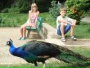 Катюша Білецька фотография #25 (источник - https://vk.com/id70239110)