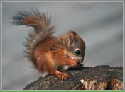 Фотография Мининой Екатерины