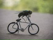 Фотография Грызунова Александра