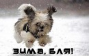 Марія Василишин фотография #7 (источник - https://vk.com/id167892882)