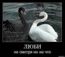 Юлькін Красутулькін фотография #7 (источник - https://vk.com/id72825756)
