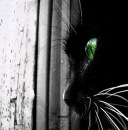 Фотография Богдановой Инны