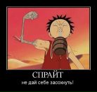 Фотография Шепелева Владислава