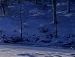 Альбіна Стягун фотография #27 (источник - https://vk.com/id151842057)