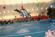 Євгеній Бабич фотография #7 (источник - https://vk.com/id71199910)