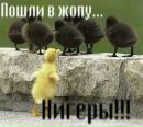 Ярик Компанієнко фотография #7 (источник - https://vk.com/id87375480)