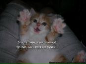 Фотография Бондарь Елизаветы