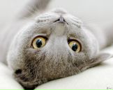 Фотография Горяиновой Анны