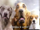 Андрій Богачев фотография #32 (источник - https://vk.com/id15797214)