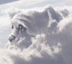 Фотография Алениной Натальи