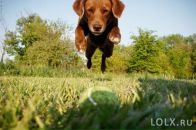 Фотография Глухова Влада