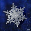 Фотография Сысоевой Татьяны