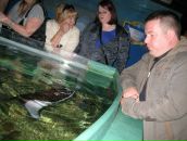 Ірина Сурженко фотография #42 (источник - https://vk.com/id6471667)