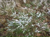 Фотография Анатольевны Марины