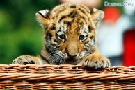 Фотография Зубаревича Андрея