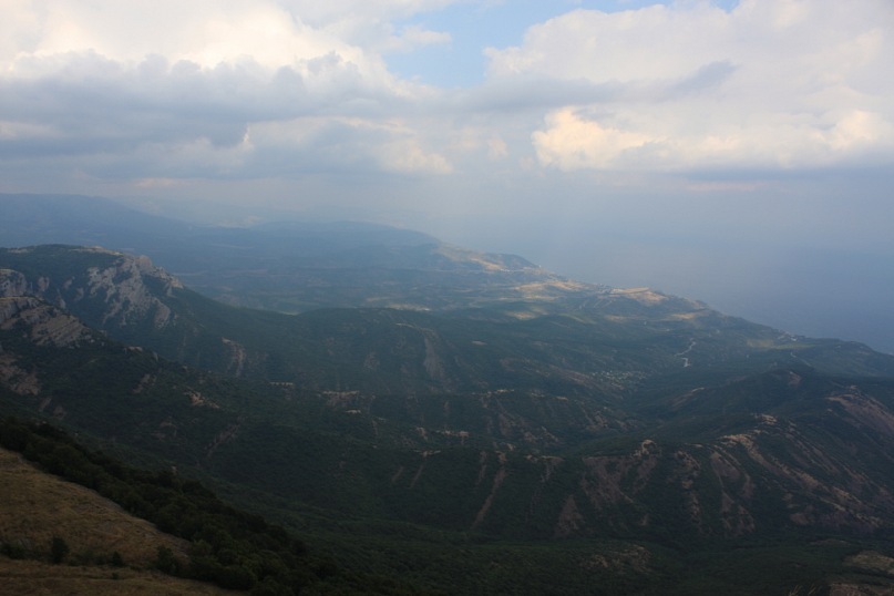 Phasma Morulus фотография #28