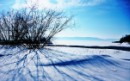 Фотография Мочалкиной Анны