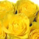 Василь Дмитрів фотография #47 (источник - https://vk.com/id98013424)