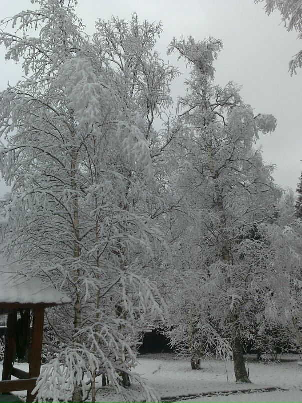 Дмитрий Витько фотография #48