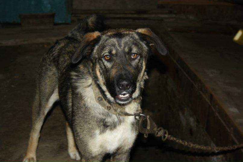 Сергей Лубнин фотография #33