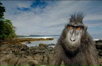 Фотография Мун Иветы