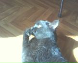 Фотография Сафронниковой Наталии