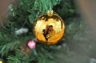 Фотография Бовина Алексея