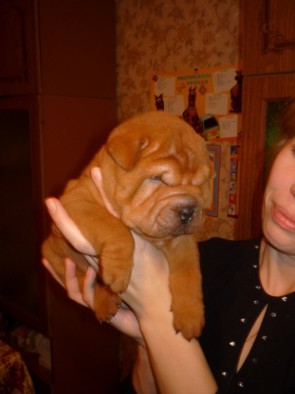 Дмитрий Малов фотография #8