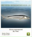 Чарлі Метелик фотография #49 (источник - https://vk.com/id61674657)