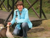 Фотография  