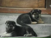 Володимир Павлів фотография #46 (источник - https://vk.com/id83585152)