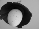 Дима Варич фотография #2 (источник - https://vk.com/id68969)