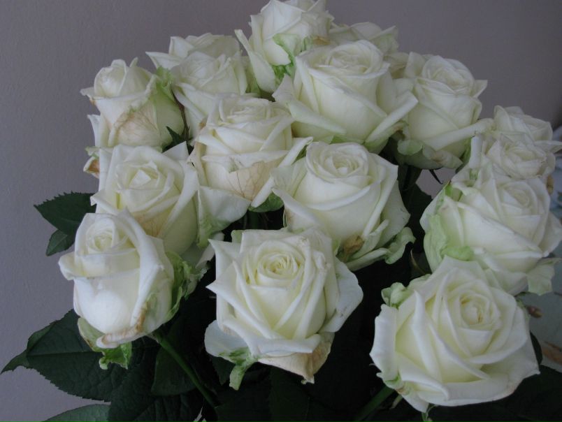 Игорь Селяков фото №45