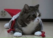 Фотография Якушенко Марианны