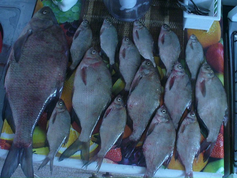 Александр Авдеев фотография #2