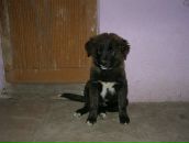 Андрій Возняк фотография #10 (источник - https://vk.com/id43204840)