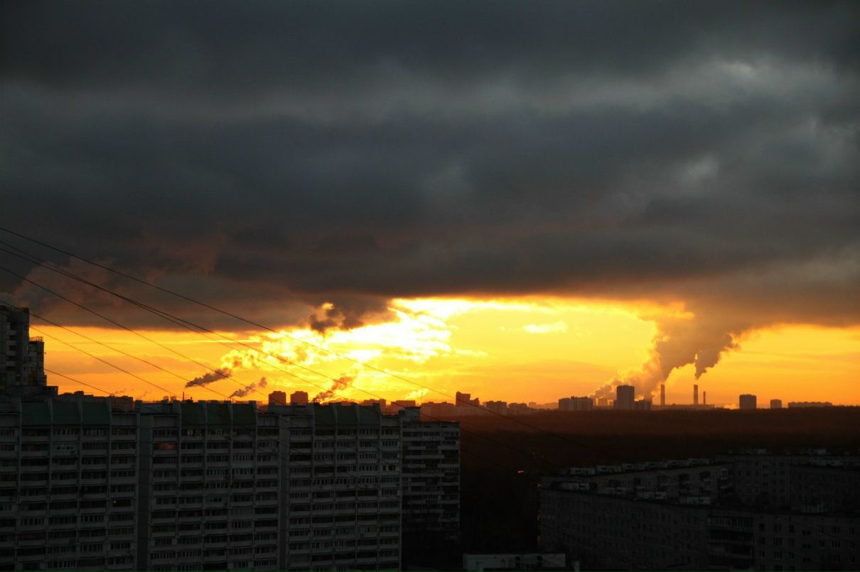 Дмитрий Квитка фотография #34