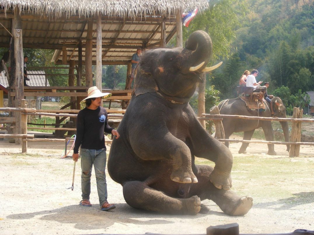 Дмитрий Лихачев фотография #18